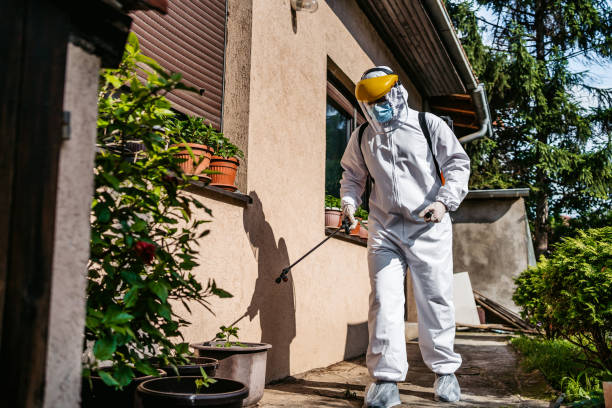 Best Insect Control  in Magnolia, OH