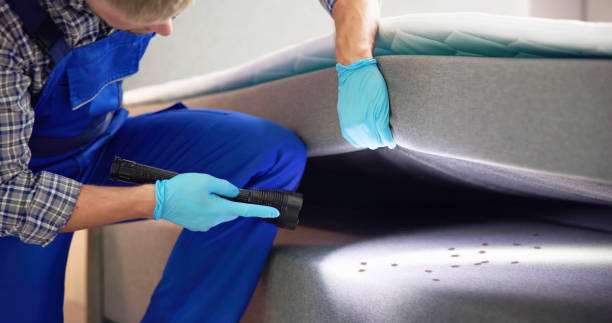 Best Flea Control Services  in Magnolia, OH